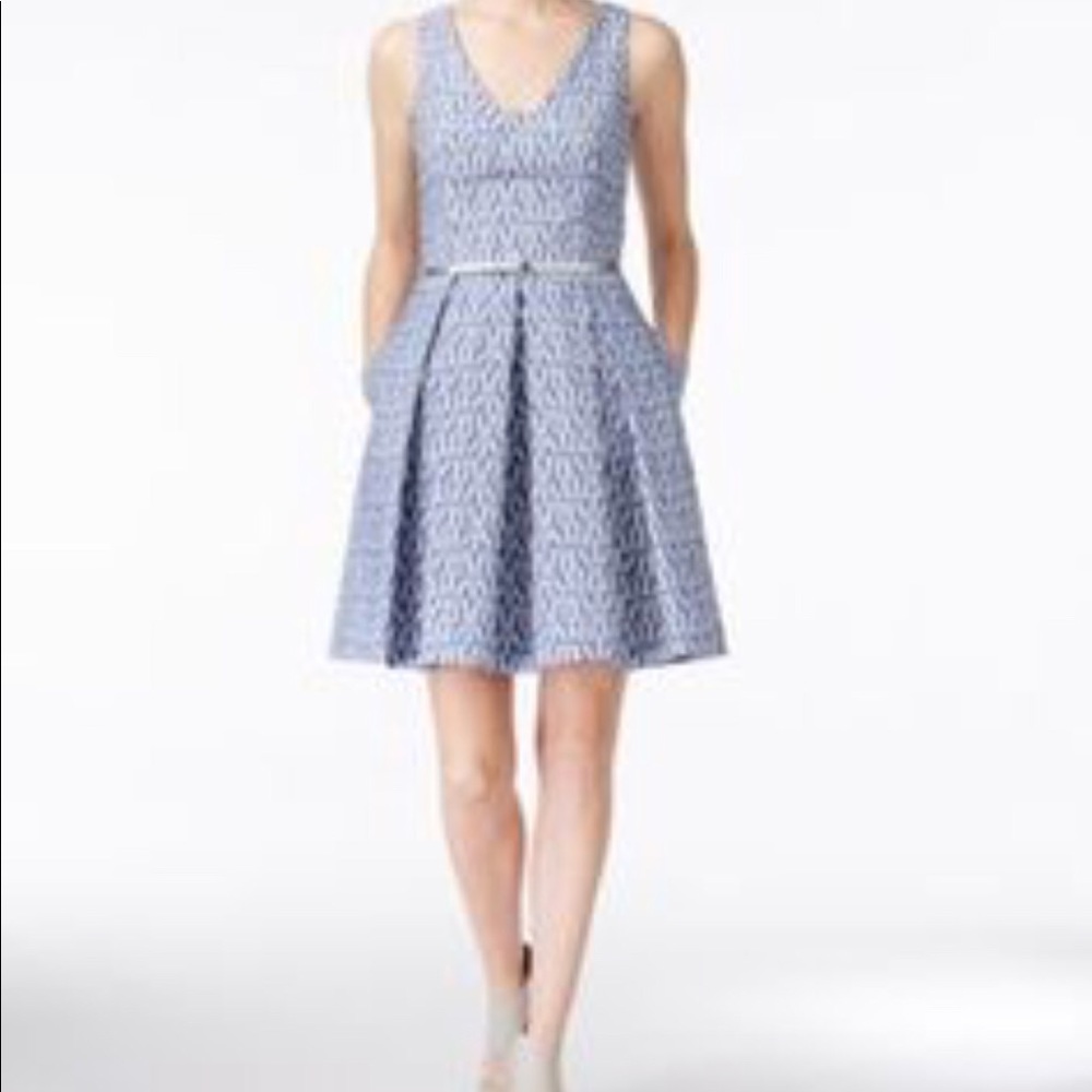 Calvin Klein Belted Printed Fit & Flare Dress